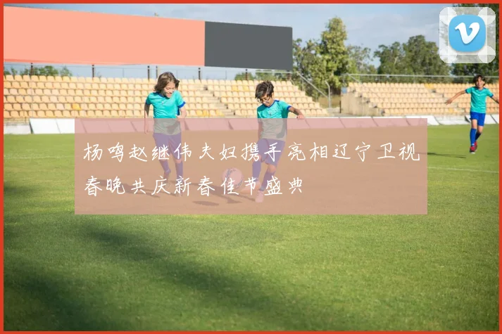 杨鸣赵继伟夫妇携手亮相辽宁卫视春晚共庆新春佳节盛典