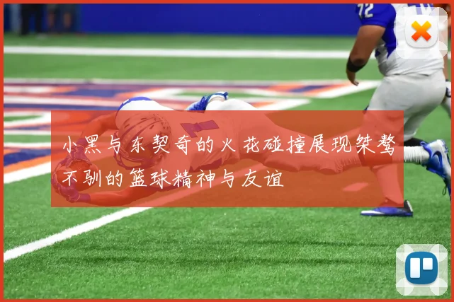 小黑与东契奇的火花碰撞展现桀骜不驯的篮球精神与友谊