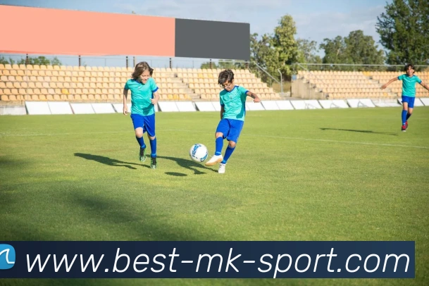 MK体育平台生态图