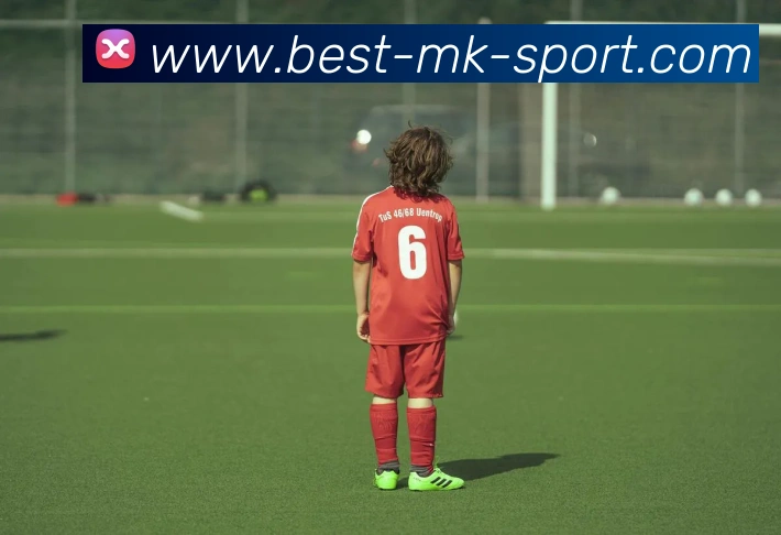 MK体育APP 封面图